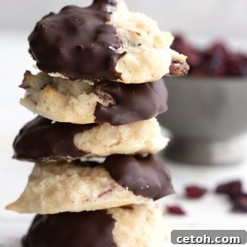 A stack of keto macaroons in front of a bowl of sugar-free dried cranberries.