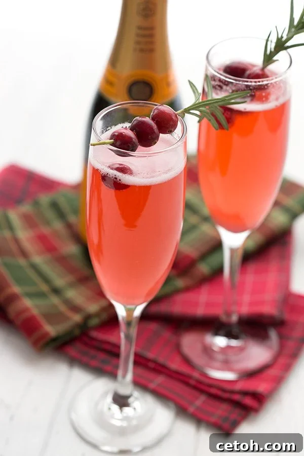 Keto Countdown Nibbles for New Year's Eve 17 Sugar-Free Cranberry Cocktail Recipe