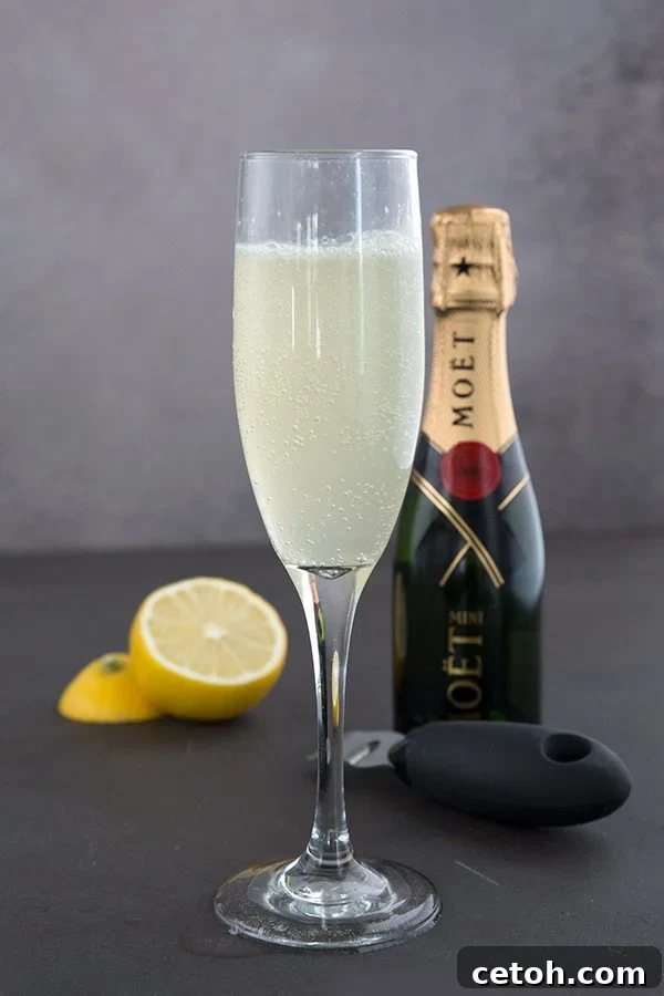 Keto Countdown Nibbles for New Year's Eve 19 Sugar-Free Keto Cocktails