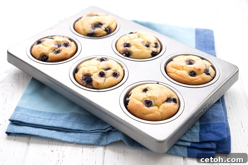 Blueberry yogurt muffins in a muffin pan on a blue napkin, highlighting excellent freezer-friendly keto baked goods.