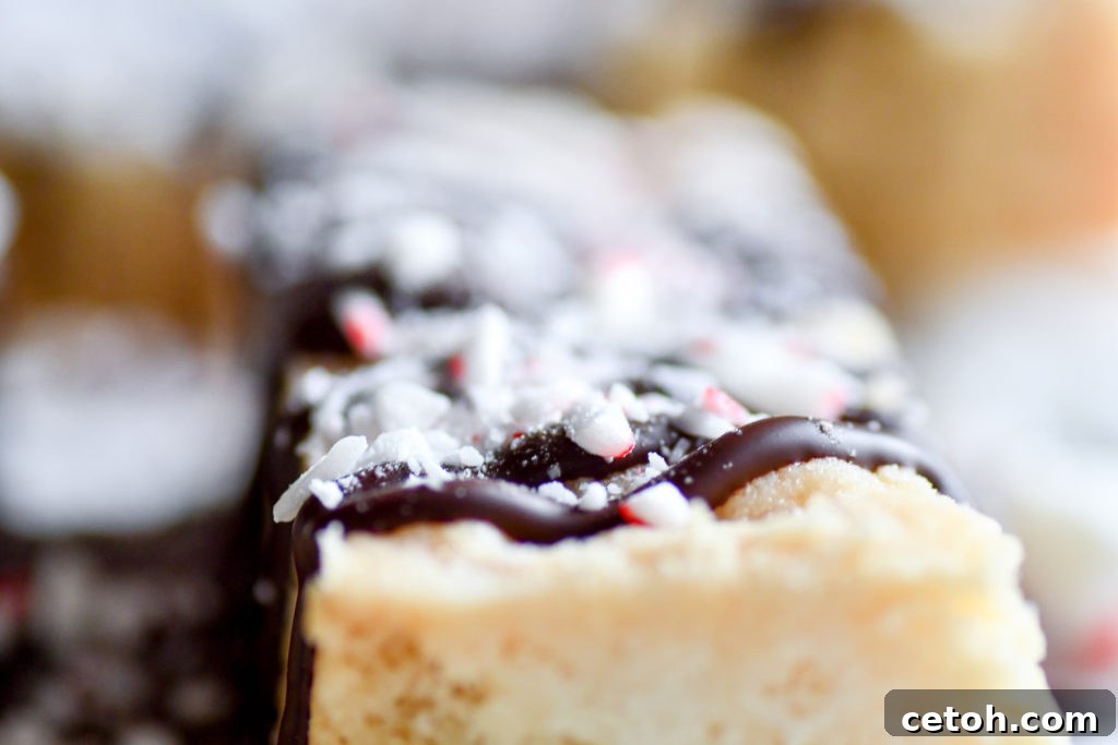 Festive Candy Cane Shortbread Bars with chocolate drizzle and crushed peppermint, perfect for holiday baking.