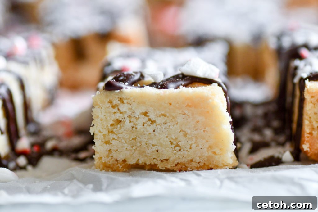 A tray of freshly baked Candy Cane Shortbread bars, ready for chocolate drizzle and peppermint topping.