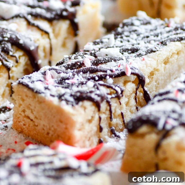 Candy Cane Shortbread ready to be enjoyed, garnished with chocolate and peppermint.