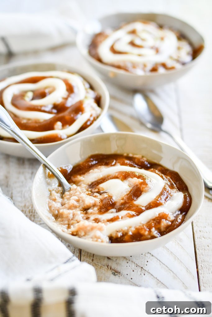 Delicious bowl of Cinnamon Roll Oatmeal with a generous swirl of cinnamon filling and creamy white icing, perfect for a cozy morning breakfast.
