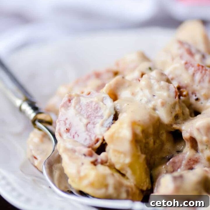 A creamy Kielbasa Tortellini Alfredo dish, garnished with fresh parsley.