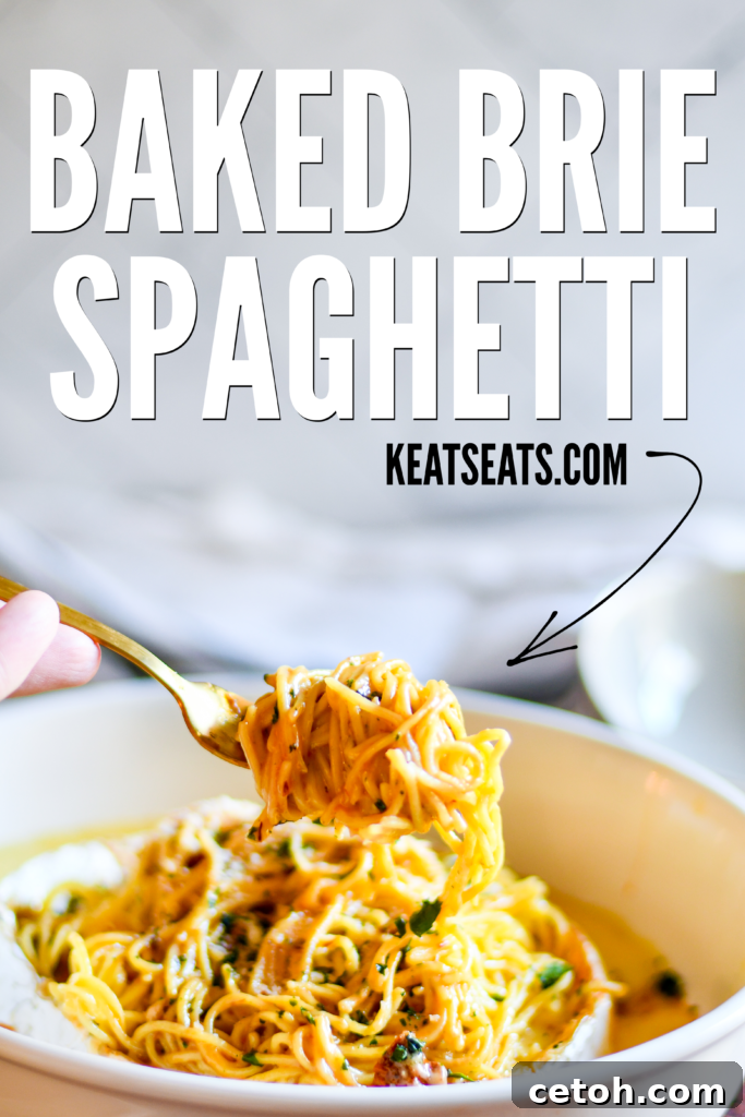 Creamy Baked Brie Spaghetti 8 A top-down view of the Baked Brie Spaghetti, showing a generous serving of pasta coated in melted brie, sun-dried tomatoes, and fresh basil in a shallow bowl.