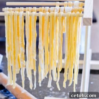 Freshly made homemade pasta, beautifully shaped and ready for cooking.