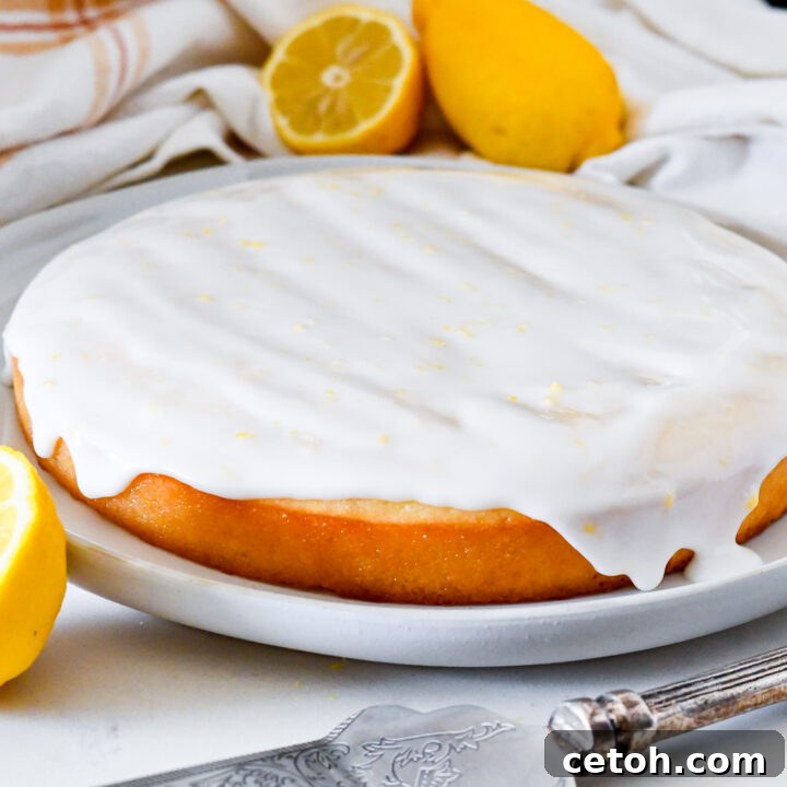 A freshly baked and glazed Lemon Syrup Cake, beautifully decorated with fresh lemon slices and mint leaves, ready to be served.