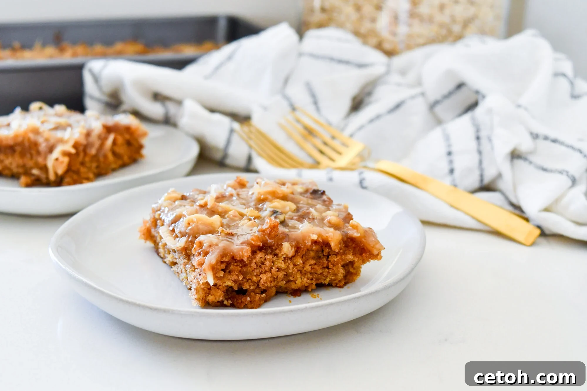 A beautifully presented slice of Irish Oatmeal Cake