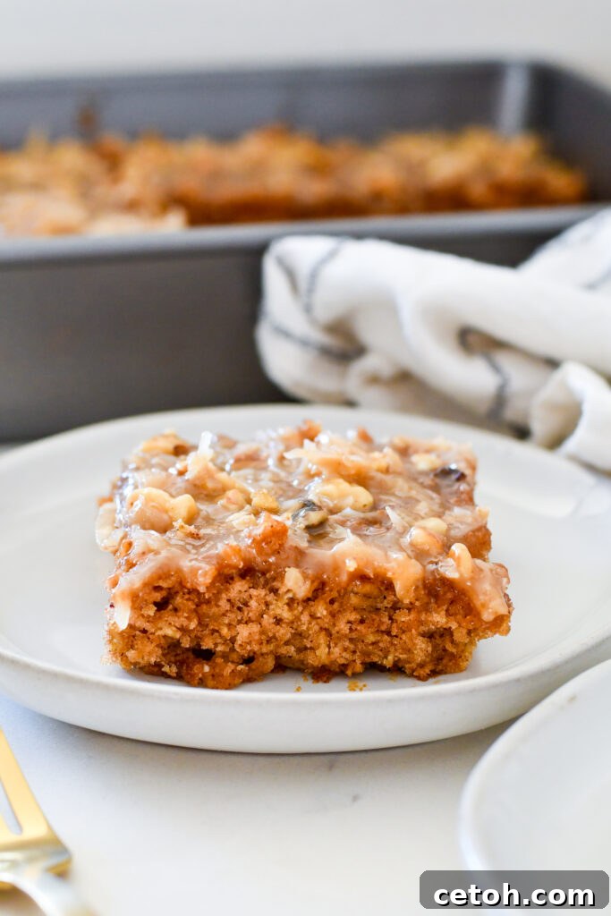 Hearty Irish Oatmeal Cake 5 Moist slice of Irish Oatmeal Cake on a plate, highlighting its tender crumb