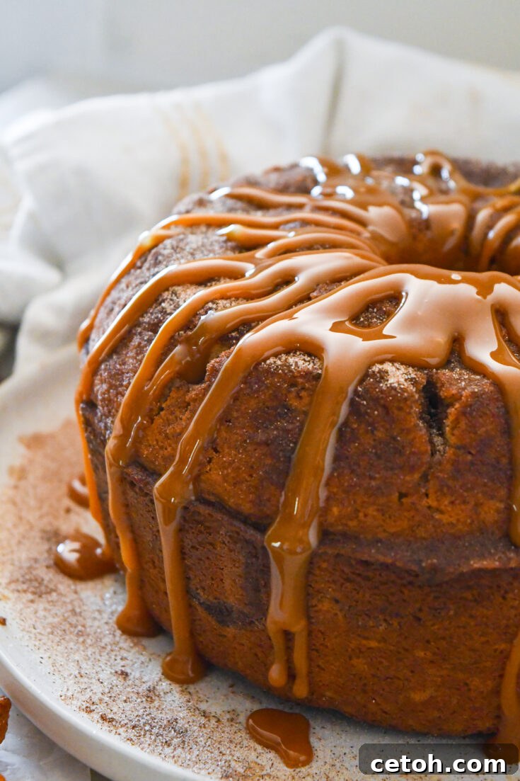 Cinnamon Sugar Delight Cake 9 A large, rustic image of a Churro Bundt Cake on a wooden board, showcasing its full beauty and deliciousness.