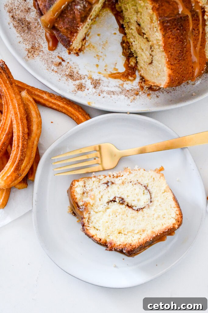 Cinnamon Sugar Delight Cake 3 Close-up of the Churro Bundt Cake's cinnamon sugar crust and soft, golden interior swirl, ready to be served.