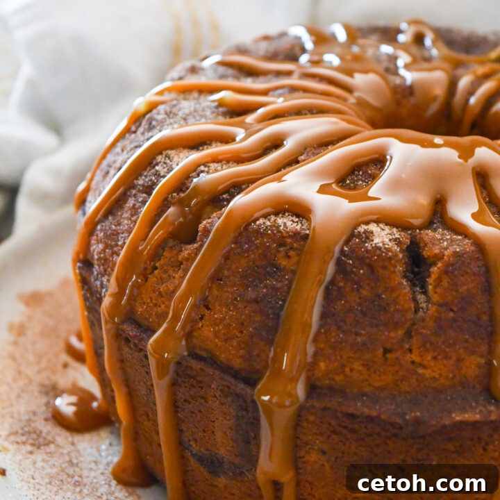 Cinnamon Sugar Delight Cake 8 A beautifully decorated Churro Bundt Cake, glistening with caramel and cinnamon sugar, ready to be served.