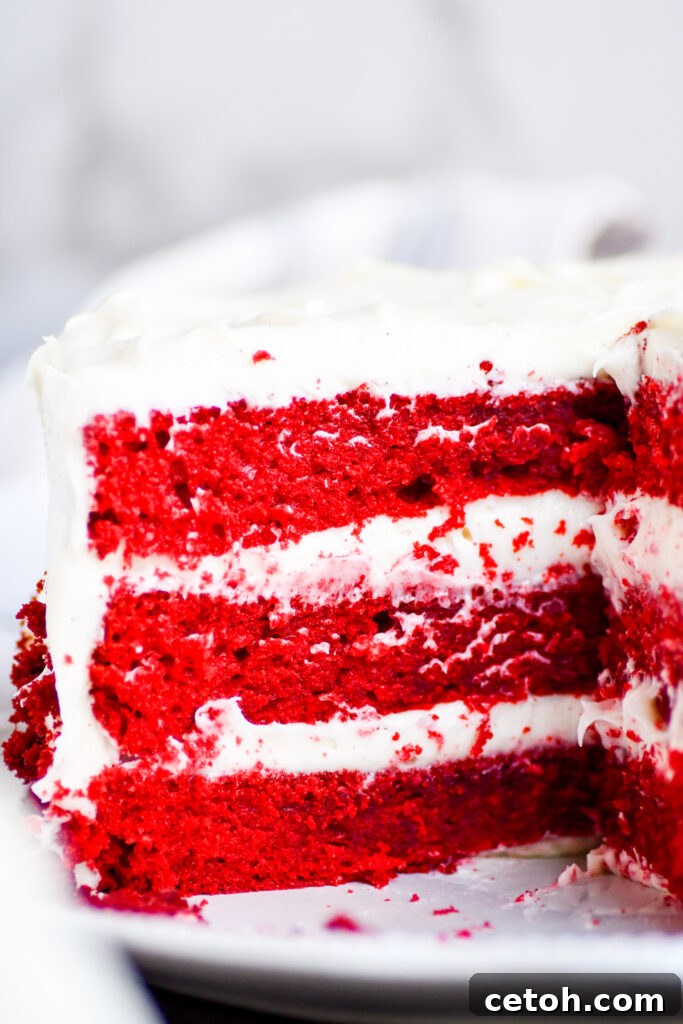 Indulge in the velvety goodness of Cakeman Raven Red Velvet Cake – a timeless classic!