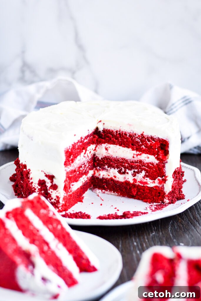 Impress your guests with the rich flavor and stunning presentation of Cakeman Raven Red Velvet Cake.