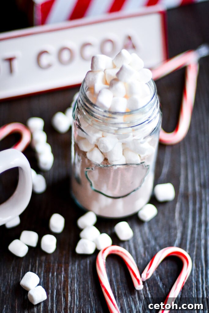 Say goodbye to store-bought packets! Learn how to make the best hot cocoa mix at home with this easy recipe.