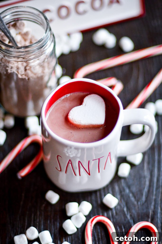 Craving a cozy drink? This step-by-step guide shows you how to create a hot chocolate mix your family will love. 