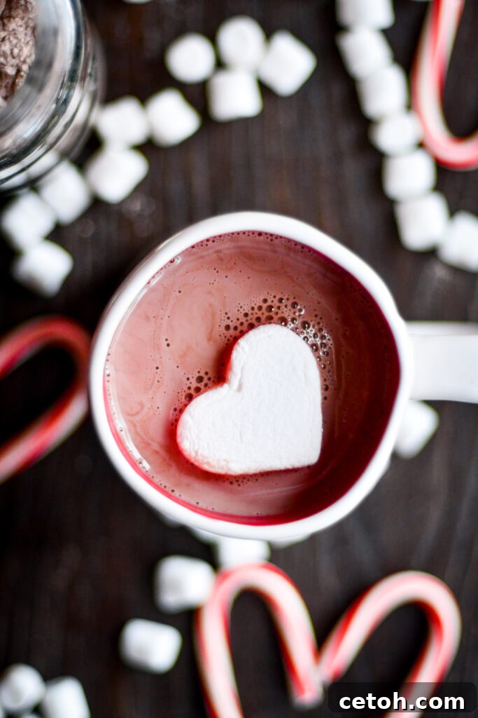Whip up the ultimate hot chocolate with this DIY mix recipe. Top it with whipped cream and marshmallows for a treat!