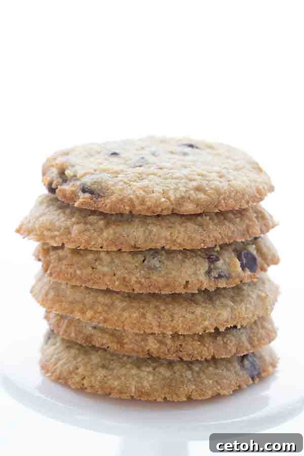 A beautifully arranged stack of six golden brown low carb chocolate chip cookies on a white plate, invitingly displayed.