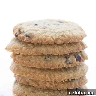 The BEST low carb chocolate chip cookie recipe! Perfectly baked and ready to enjoy.