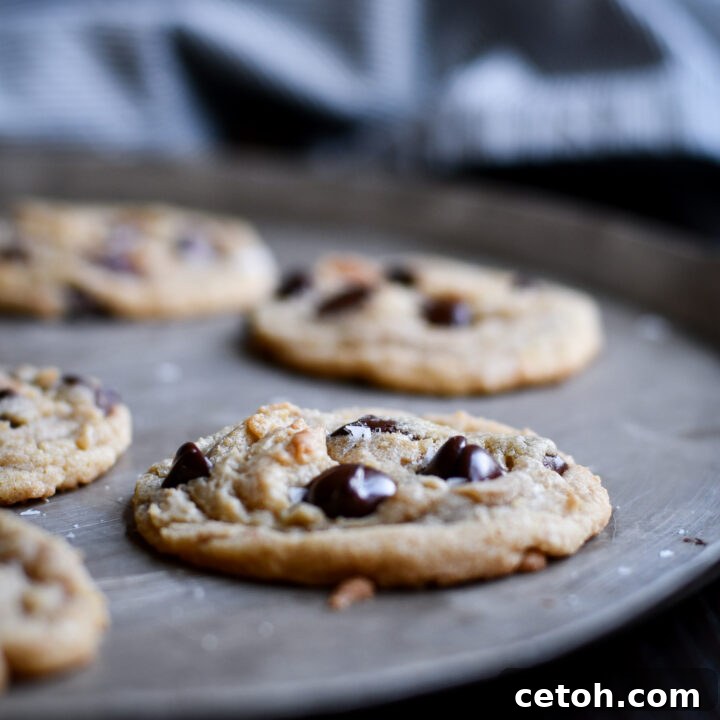 A top-down view of the irresistible Crispy Edges Chocolate Chips Cookies, freshly baked.