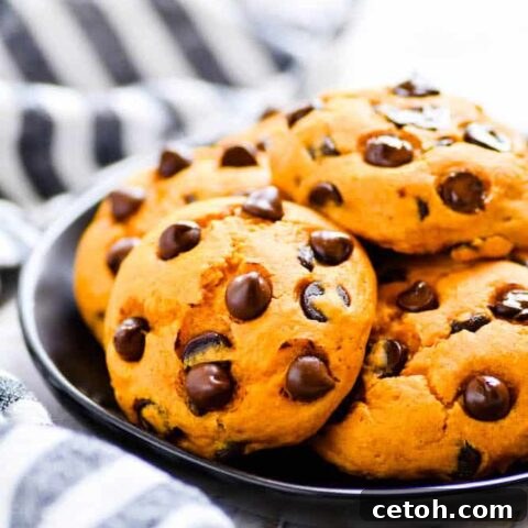 Soft and chewy easy pumpkin chocolate chip cookies.