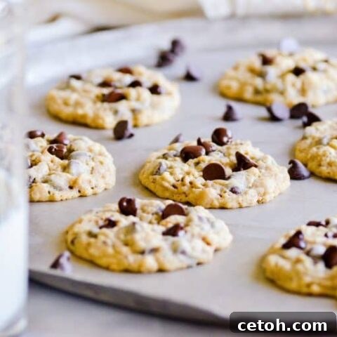 Mom's choc-oat-chip cookies, a family favorite with oats and chocolate chips.