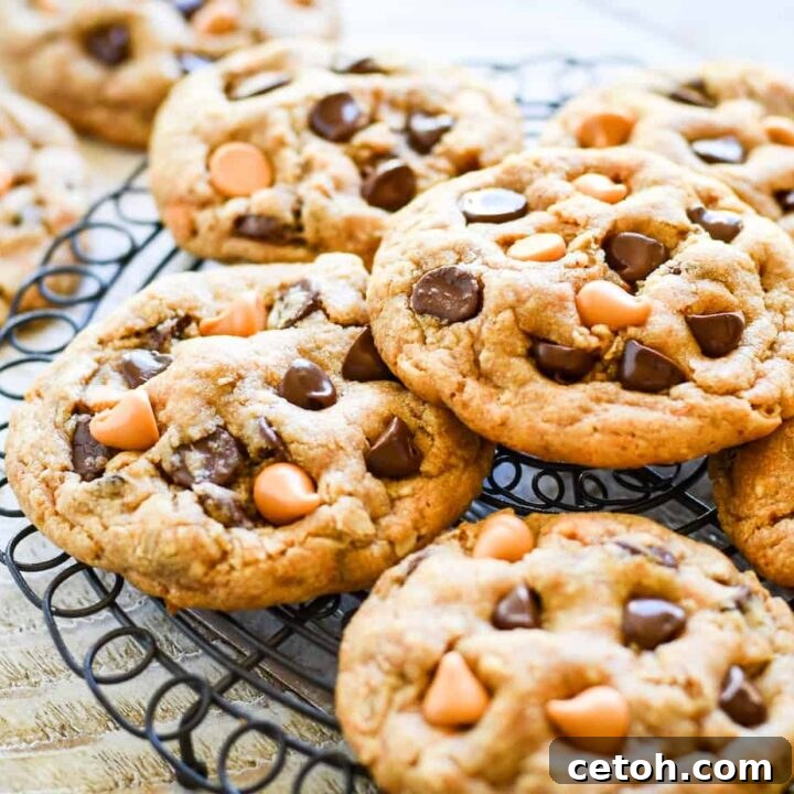 Chewy butterscotch oatmeal cookies with a warm, comforting flavor.