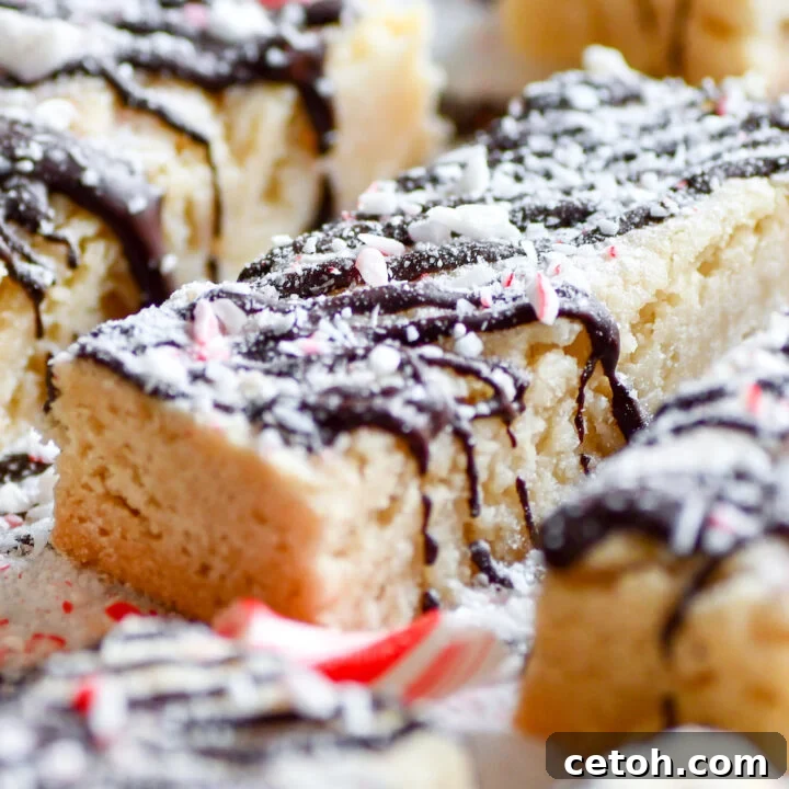 Candy cane shortbread cookies, perfect for holidays, drizzled with chocolate and crushed candy canes.