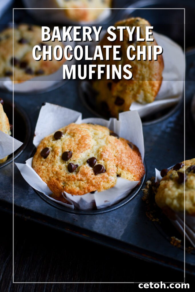 Learn to bake incredibly moist and fluffy chocolate chip muffins at home, just like your favorite bakery