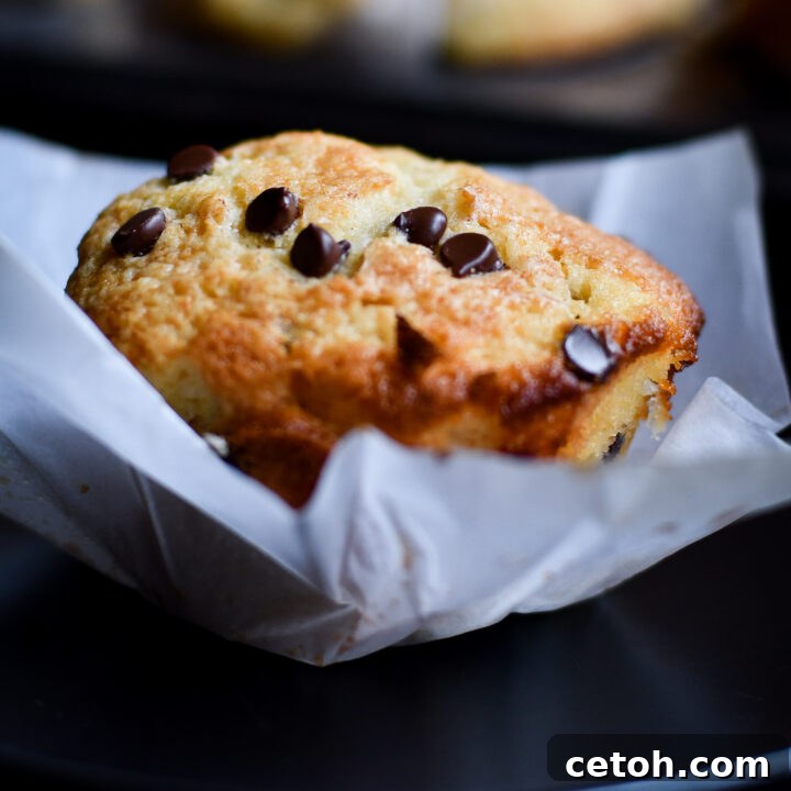 Ashton's delightful chocolate chip muffins with a perfect golden crust