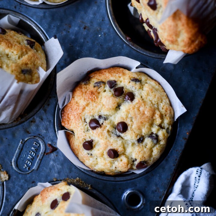 Keaton's hearty chocolate chip muffins, a satisfying morning treat