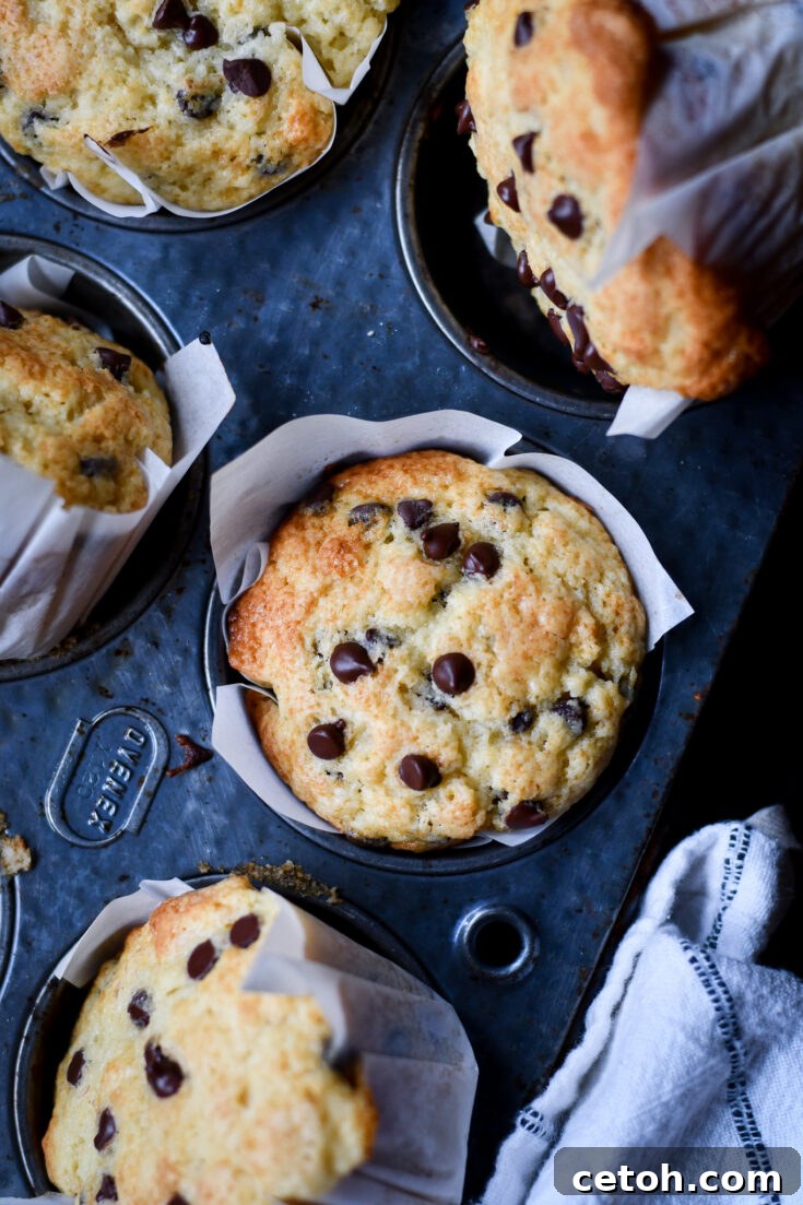 Keaton's delicious chocolate chip muffins, perfect for a hearty breakfast