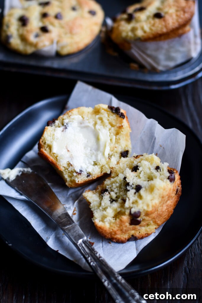 Achieve perfect golden-brown tops and a tender crumb with our easy chocolate chip muffin recipe