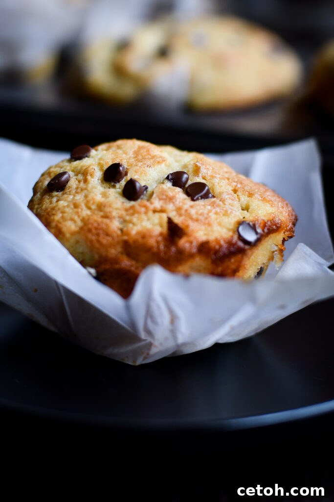 Get perfect, domed chocolate chip muffins with these expert baking tips