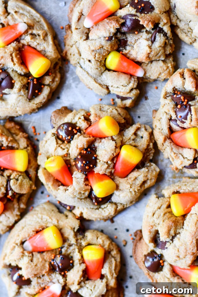 Decadent Candy Corn Peanut Butter Cookies 3 Get ready for a tasty twist with our Candy Corn Cookies. Peanut butter + candy corn = yum!