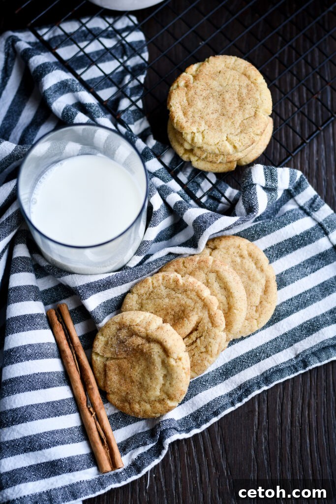 Foolproof Snickerdoodle Delight 2 Satisfy your sweet tooth with perfect homemade Snickerdoodles! This quick and easy recipe delivers warm, cinnamon-spiced goodness in every bite.