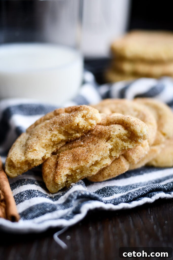 Foolproof Snickerdoodle Delight 5 Get your baking fix with classic Snickerdoodles. Our easy recipe brings cinnamon comfort to your kitchen with delightful taste and simple steps!