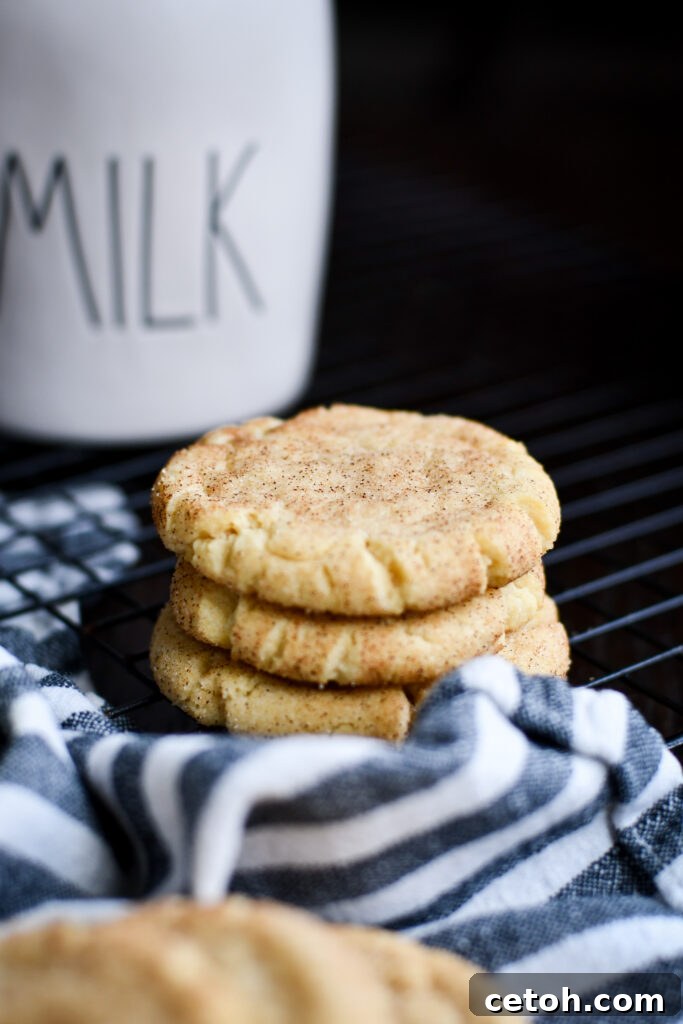 Foolproof Snickerdoodle Delight 6 Whip up Snickerdoodles in a snap! Our easy recipe brings cinnamon comfort to your kitchen, offering simple steps and a delightful taste.