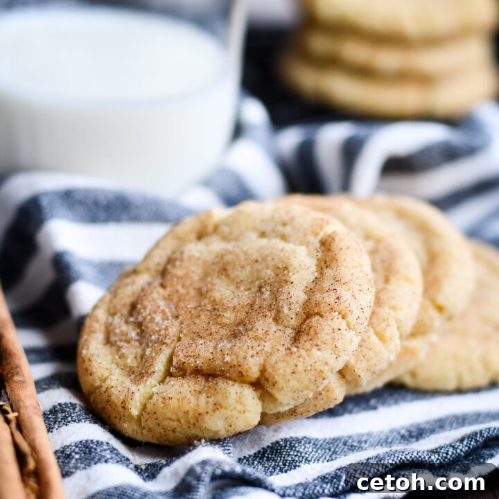 Craving something sweet? Try our simple Snickerdoodle recipe for a cinnamon-spiced treat that's easy to make and utterly delicious.