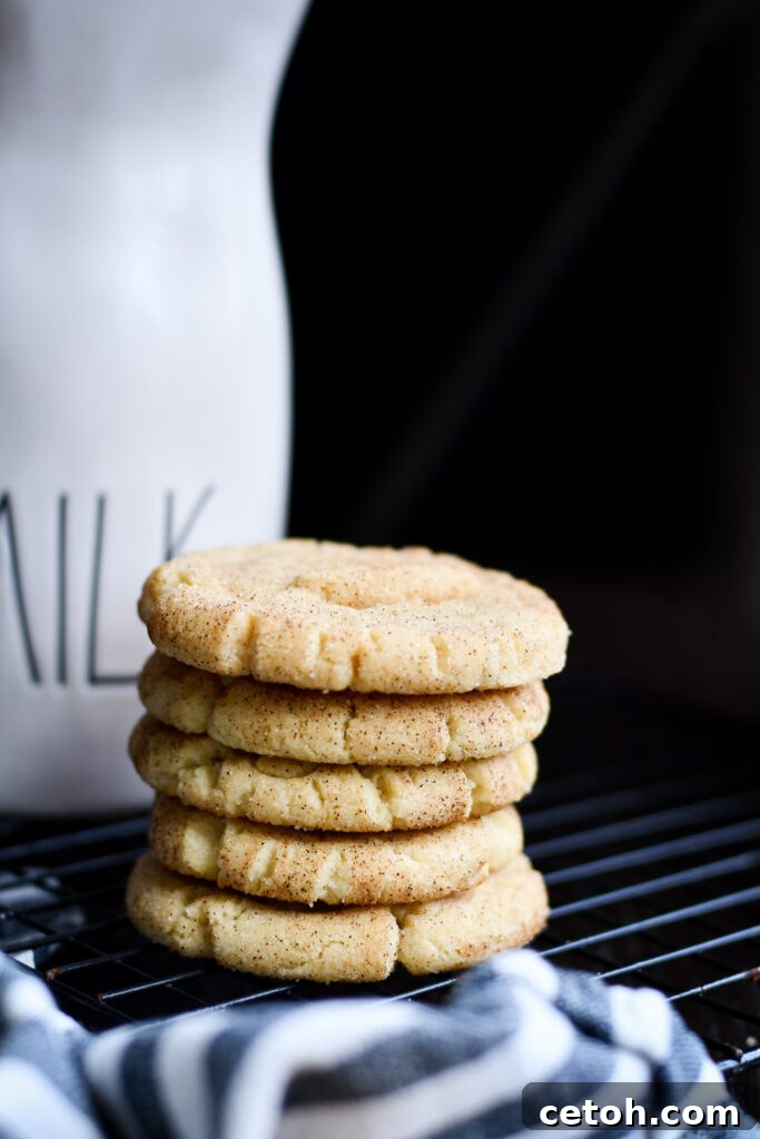 Foolproof Snickerdoodle Delight 3 Looking for a simple treat? Our Easy Snickerdoodle recipe delivers warm, sweet perfection, making homemade cookies effortless and delicious.