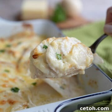 A spoon lifting Turnip au Gratin out of the serving dish.