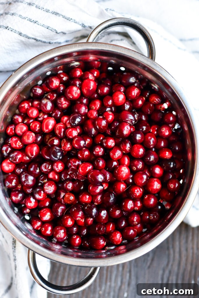 Discover the simplicity of homemade cranberry sauce with our Easy Cranberry Sauce recipe—ideal for Thanksgiving side dishes.