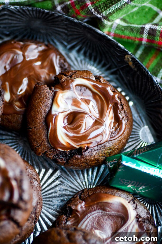 Discover a delightful twist with our Andes Creme de Menthe Chocolate Cookies Recipe – a perfect blend of chocolate and mint that's irresistibly delicious.