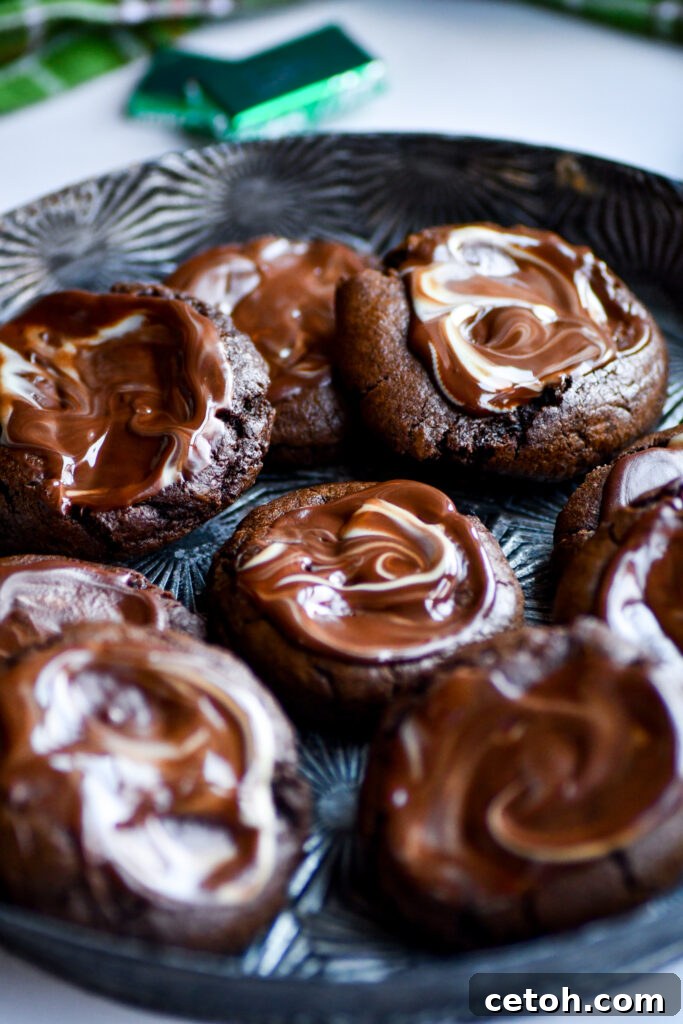 Elevate your baking game with our easy-to-follow Andes Creme de Menthe Cookie Recipe, a delectable fusion of rich chocolate and refreshing mint.