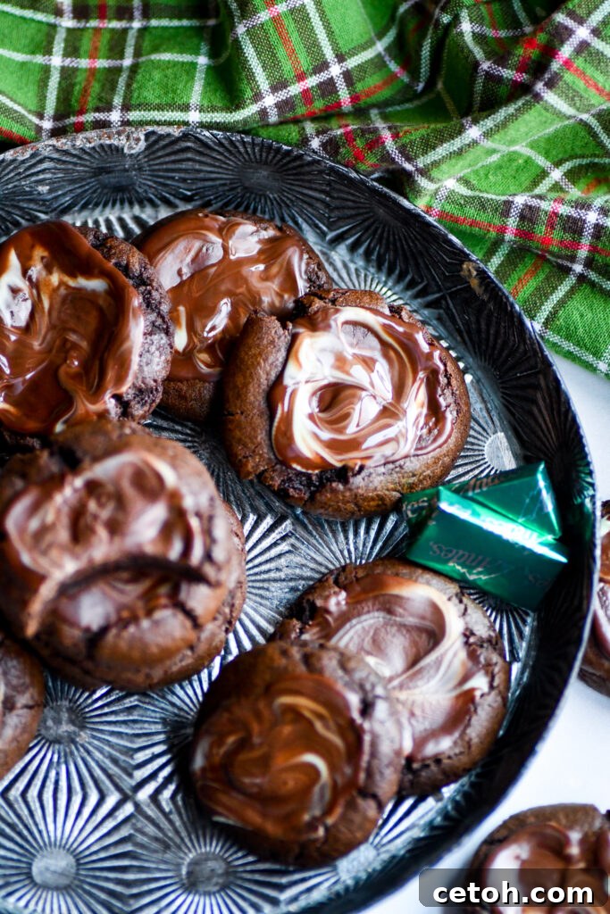 Indulge your sweet tooth with the ultimate Andes Creme de Menthe Chocolate Cookies – a homemade treat that's perfect for any occasion.