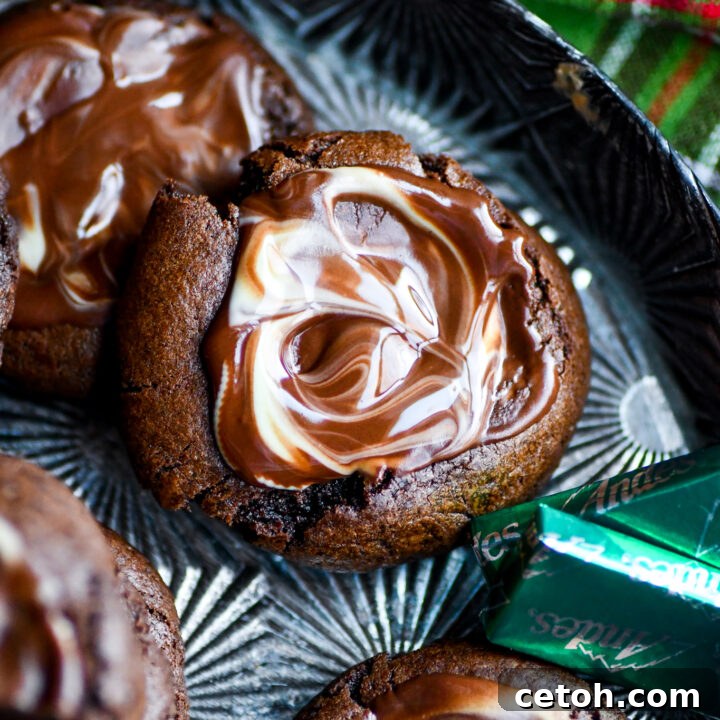 Discover a delightful twist with our Andes Creme de Menthe Chocolate Cookies Recipe – a perfect blend of chocolate and mint that's irresistibly delicious.