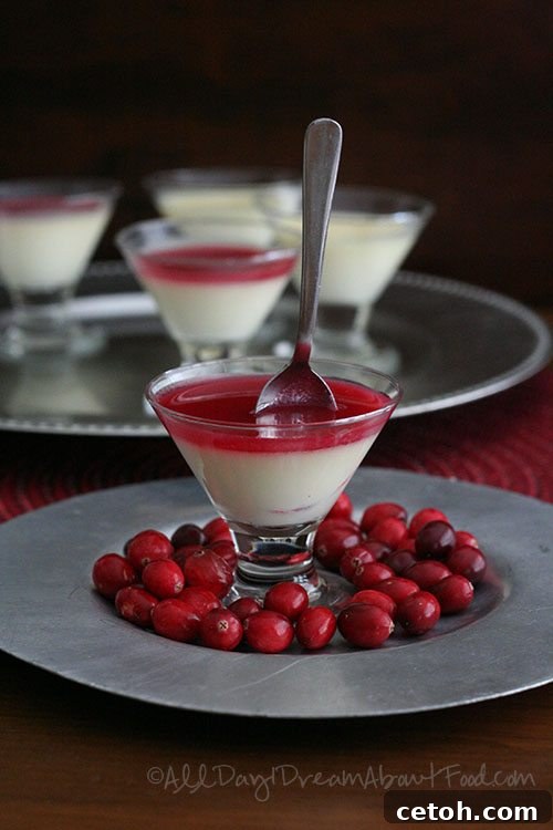 Vanilla Bean Panna Cotta with Cranberry Coulis - #lowcarb #glutenfree #ketodessert