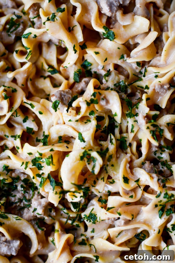 Try this Easy Ground Beef Stroganoff for a family-friendly meal that's rich, creamy, and oh-so-satisfying. Perfect for busy nights!