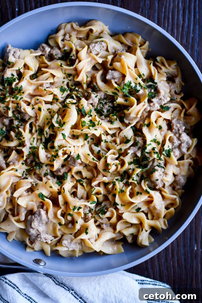 This Easy Ground Beef Stroganoff is a must-try! With tender beef and a creamy sauce, it's a delicious meal ready in no time.